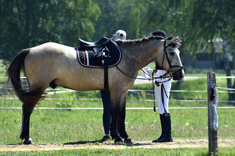 Débuter l’équitation : 9 conseils de base pour se lancer.