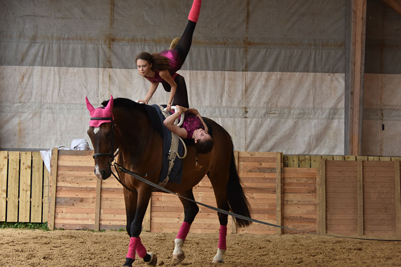 Mon secret pour avoir un cheval athlétique !