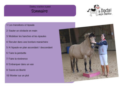 sommaire exercices à pied