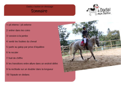 sommaire fiches dressage