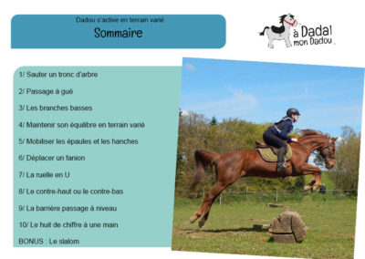 sommaire fiches terrain varié