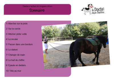 sommaire exercices longues rênes