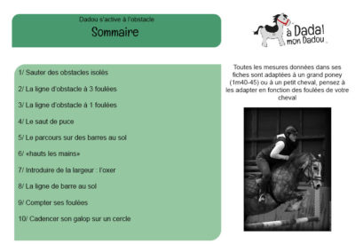 sommaire fiches obstacle