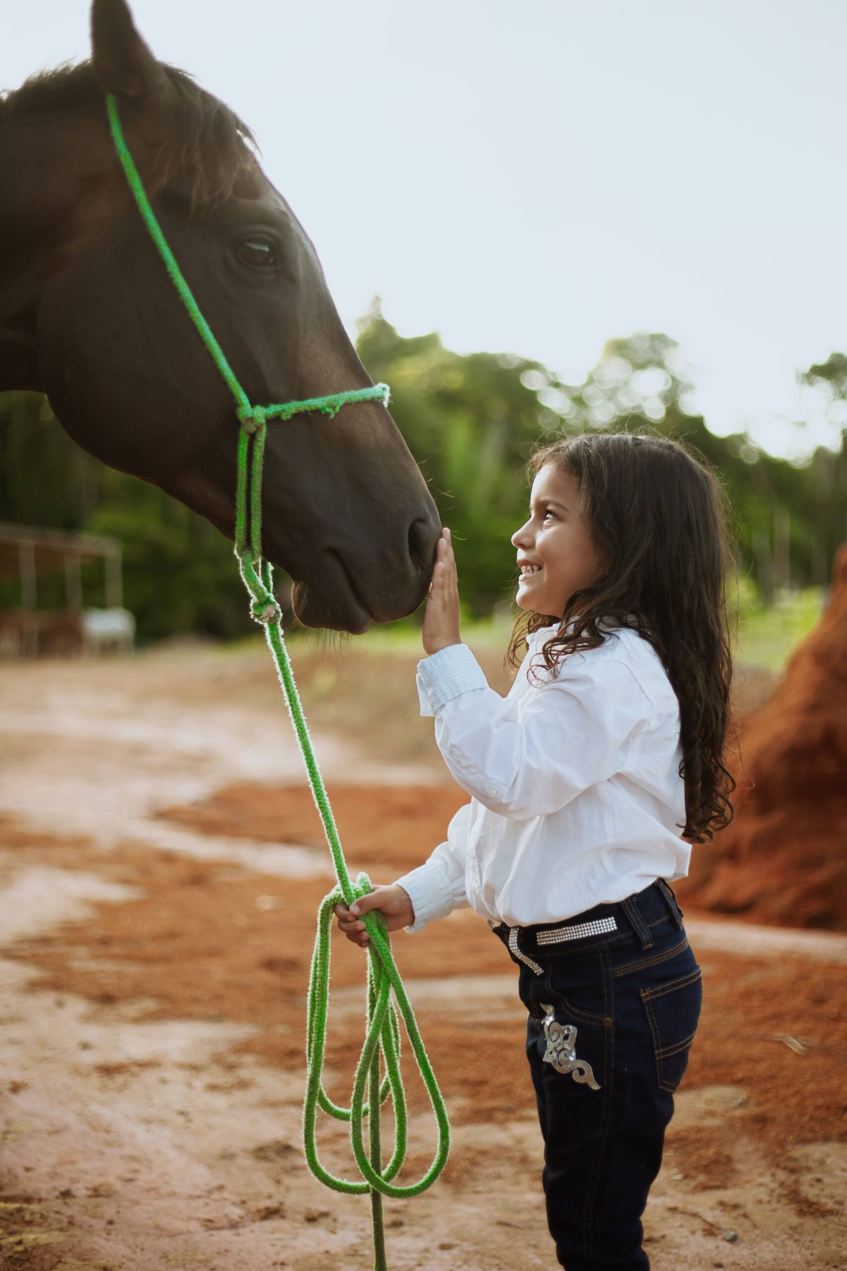 petite-fille-tient-longe-en-cercles-4 Une petite fille ayant une bonne tenue de longe de son cheval