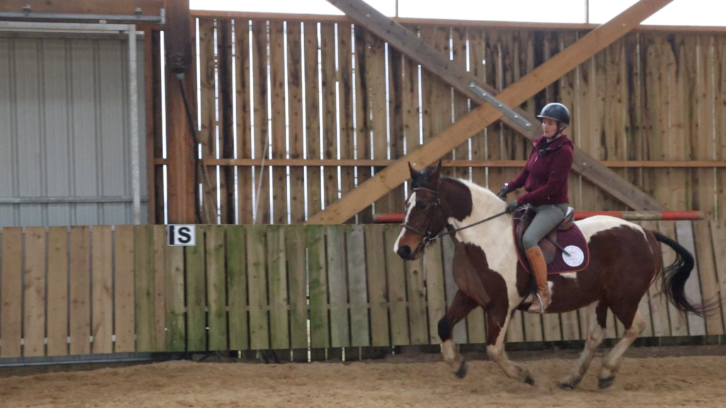 Un cavalier adulte peut transformer sa peur du galop en confiance grâce à une position plus stable et plus détendue.
