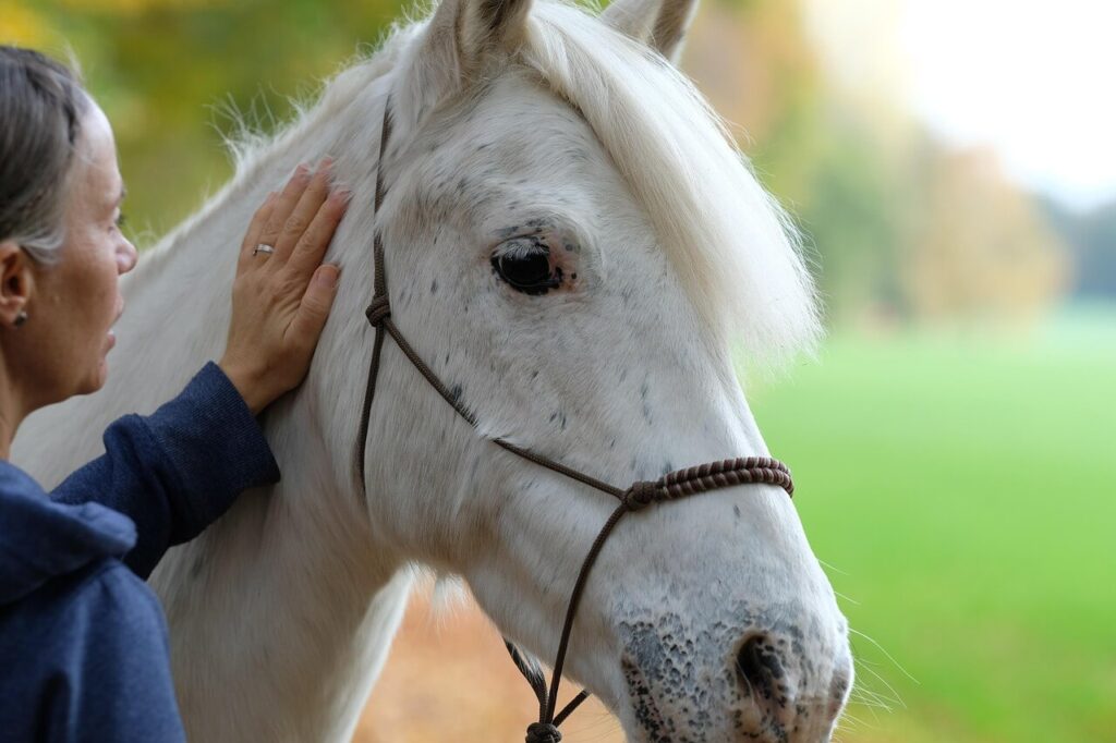 Cavalier calme et serein caressant son cheval après avoir surmonté sa peur à cheval.