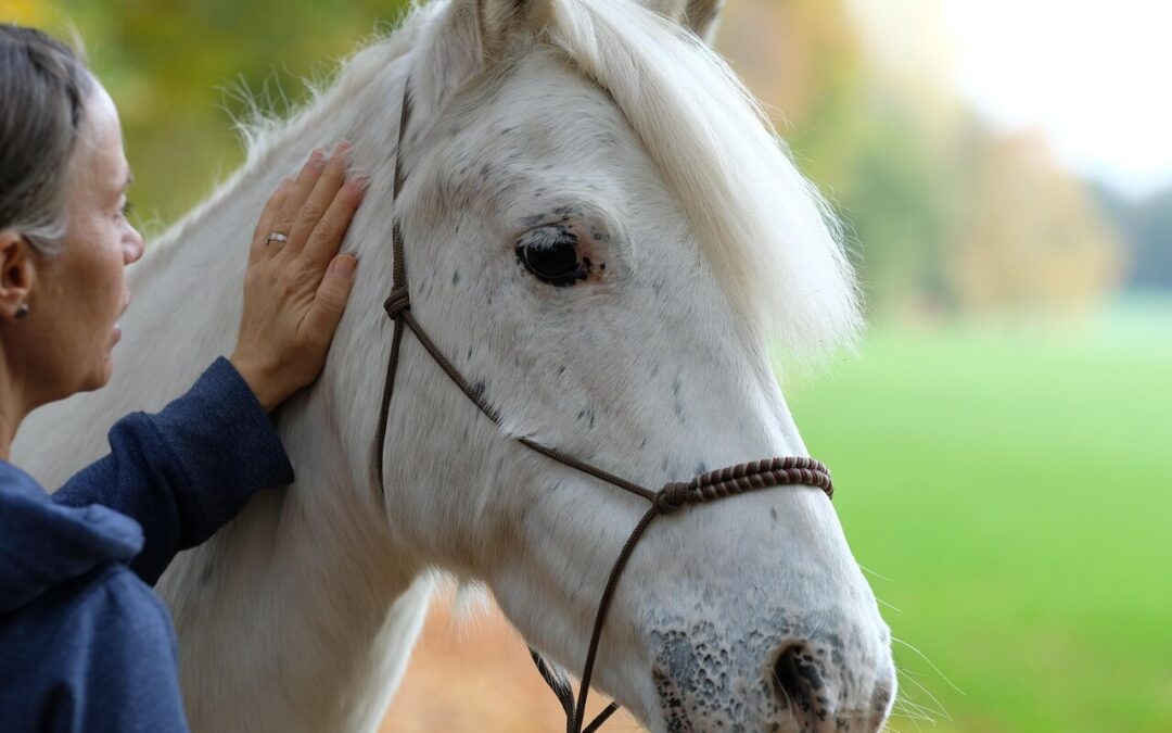 Quand la peur à cheval prend le dessus
