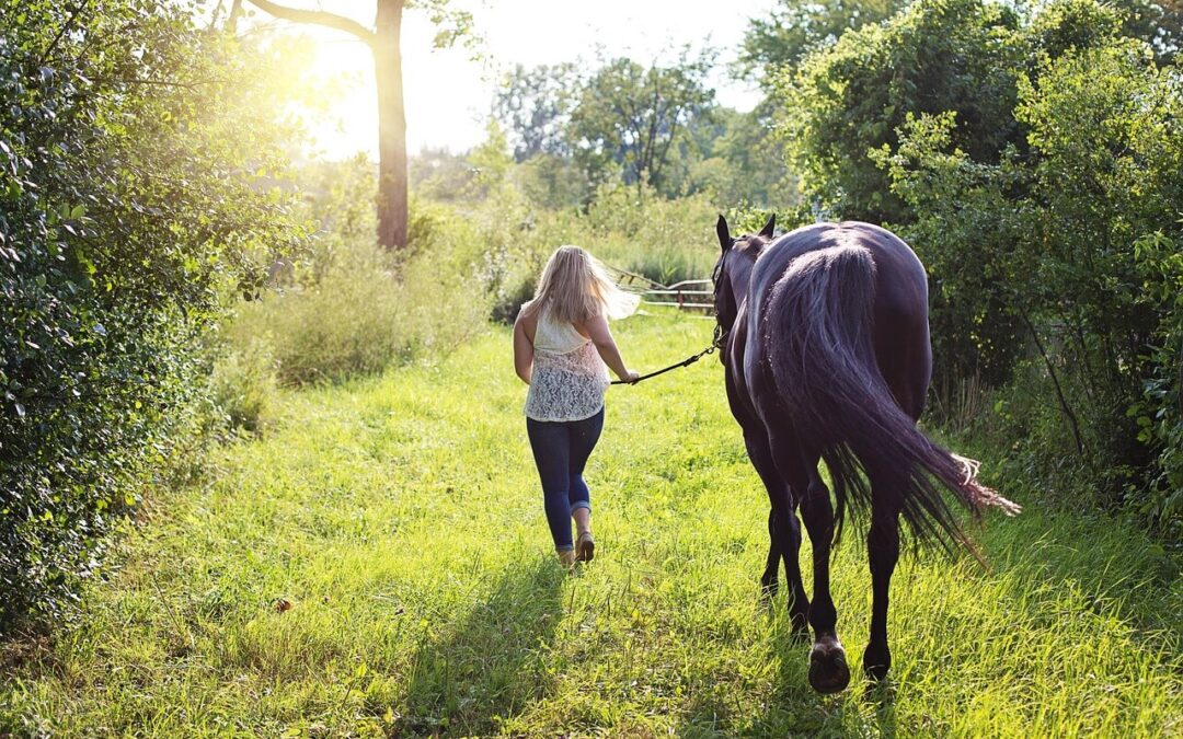 Comment Christelle a retrouvé confiance à cheval après une chute — sans se forcer à remonter