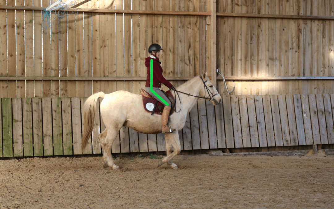 Rebondir au trot : les 2 erreurs qui vous empêchent de vous stabiliser (et comment les corriger)