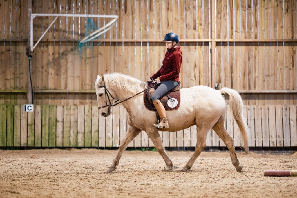 photographier son cheval en mouvement -Crédit Photo A dada mon dadou, réalisé par Natacha Brunet de la Patte sur l'objectif
