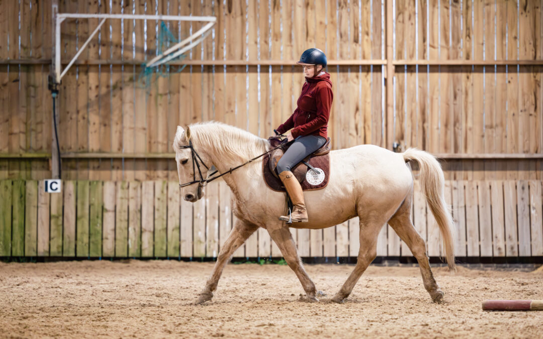 Photographier son cheval : conseils pratiques pour réussir ses photos (même avec un téléphone)