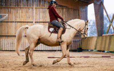 La vraie raison de vos blocages à cheval (2/3)