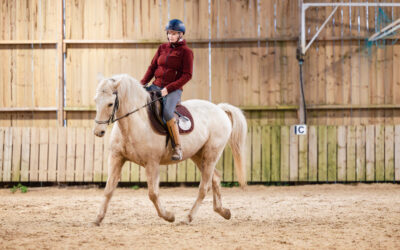 Quand tenir à cheval ne suffit plus pour progresser (1/3)