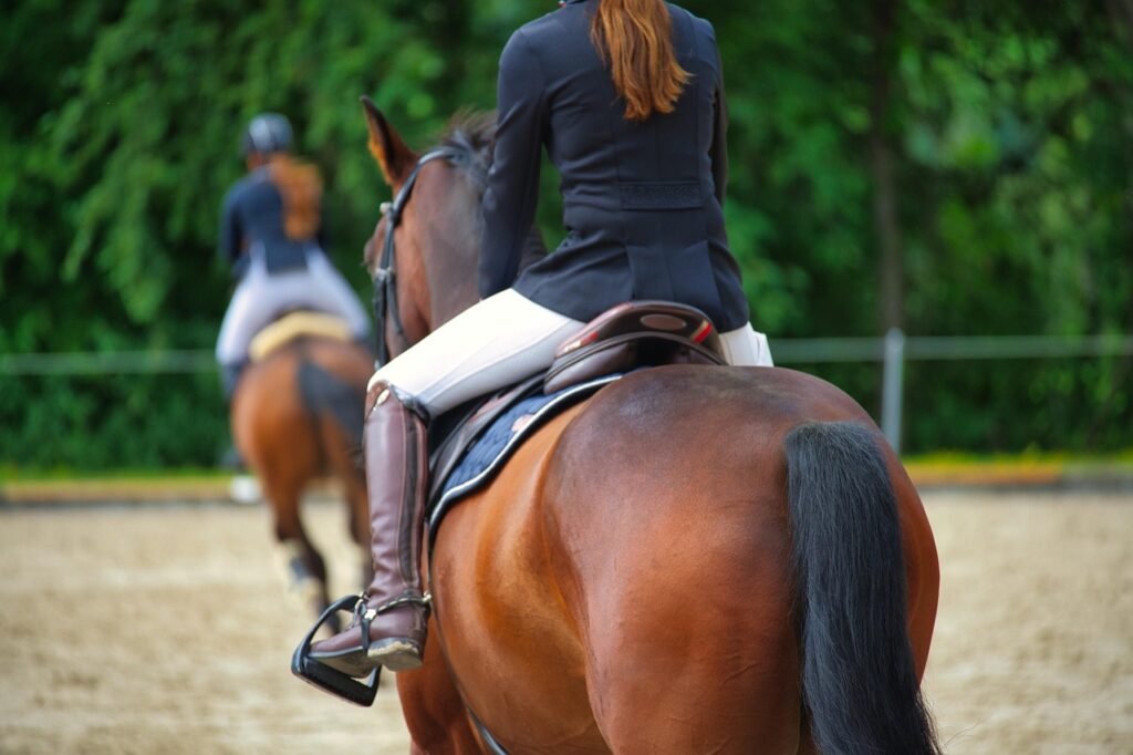Cavalière débutante vue de dos en carrière, illustrant la phase où le cavalier se concentre principalement sur sa position et son équilibre à cheval.