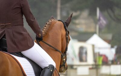 Quand les aides du cavalier deviennent (presque) invisibles (3/3)